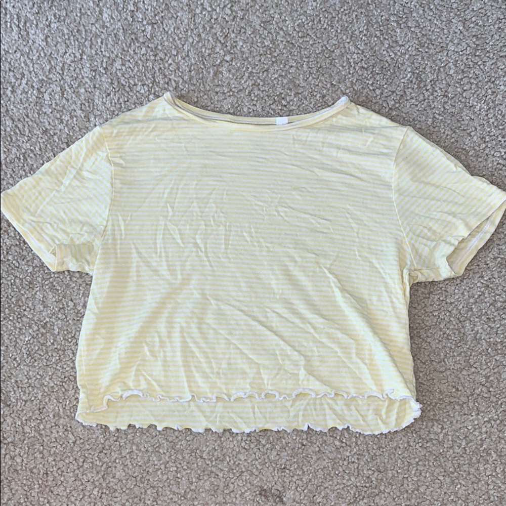 Pacsun cropped t shirt